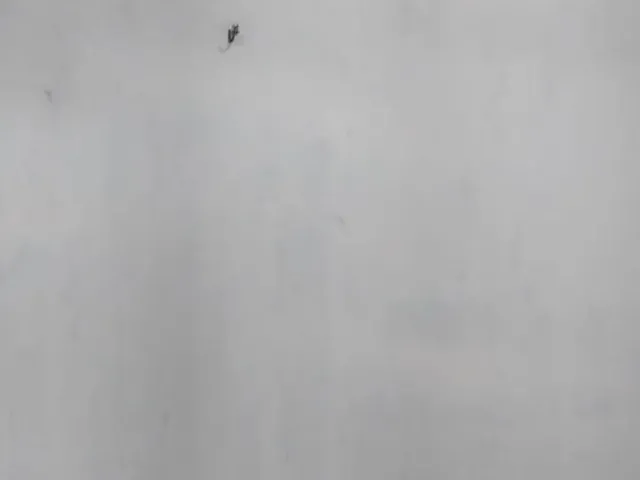 Imagem 2: Alugo Kitnet na Cidade Nova 8