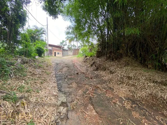 Imagem: Sítio para Venda em Rio de Janeiro, Campo