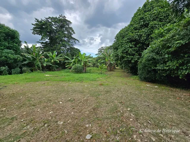 Imagem 16: Área 28.000 Mts2 Largo do Mendanha