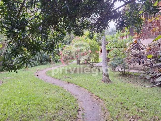 Imagem: Sítio À Venda, 5 Quartos, 1 Suíte, 2
