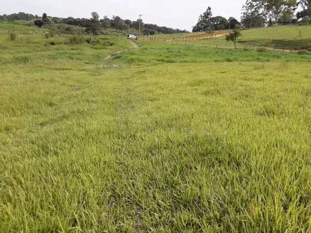 Imagem: Área para Venda Perto do Centro de Monte