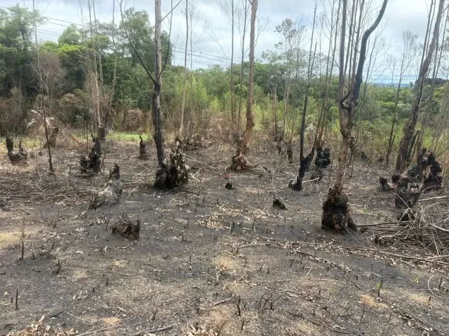 Imagem 10: Imóvel para Venda com 1000 Metros Quadrados com 3 Quartos em Recreio - Ibiúna - Sp