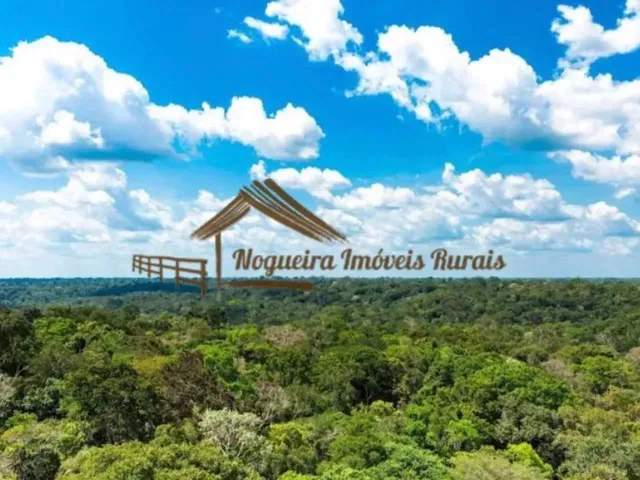 Imagem: Fazenda com 320 Alqueires com Mata para