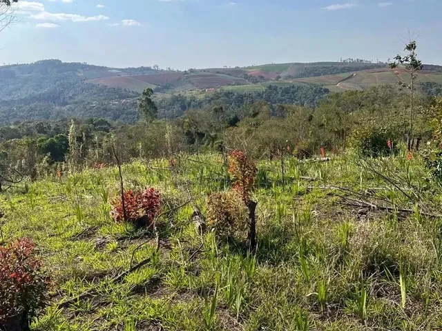Imagem 10: Terreno em Ibiúna com 500M² Negociação Direta