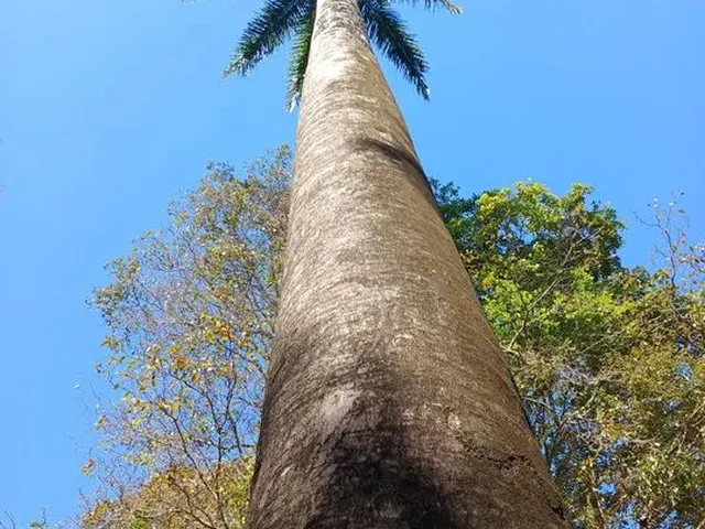 Imagem 10: Aluga-Se Linda Pousada Dentro de Anápolis