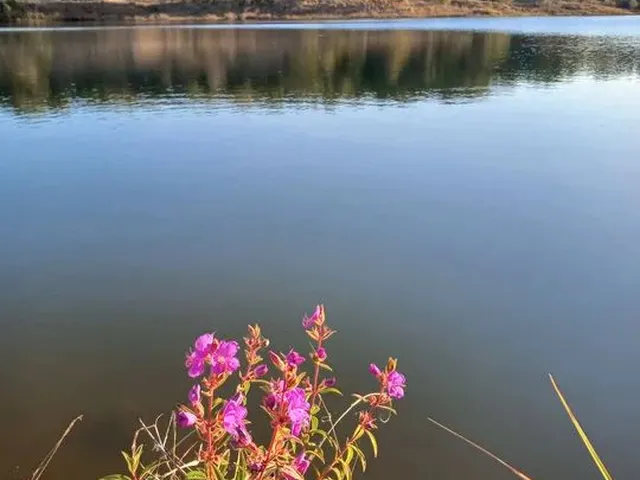 Imagem 12: Aluga-Se Linda Pousada Dentro de Anápolis