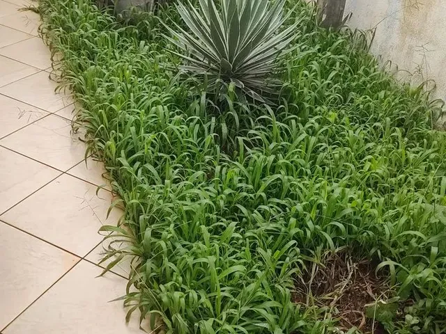 Imagem 15: Casa Casa com 4 dormitórios