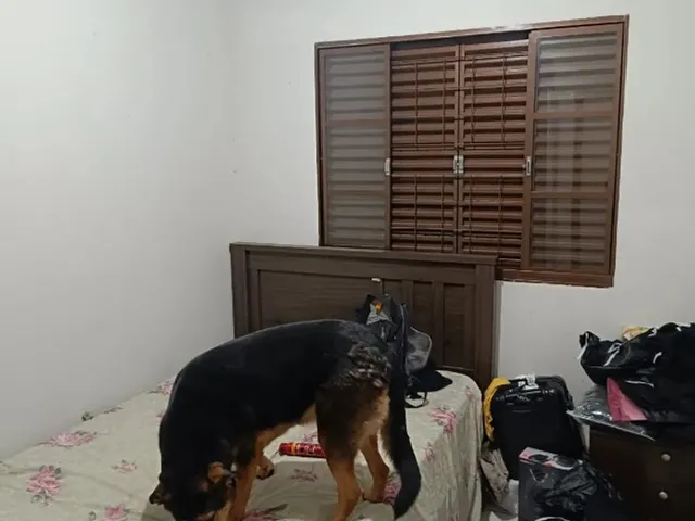 Imagem 10: Casa Geminada com Suíte + 2 Quartos no Jd. Paulista III