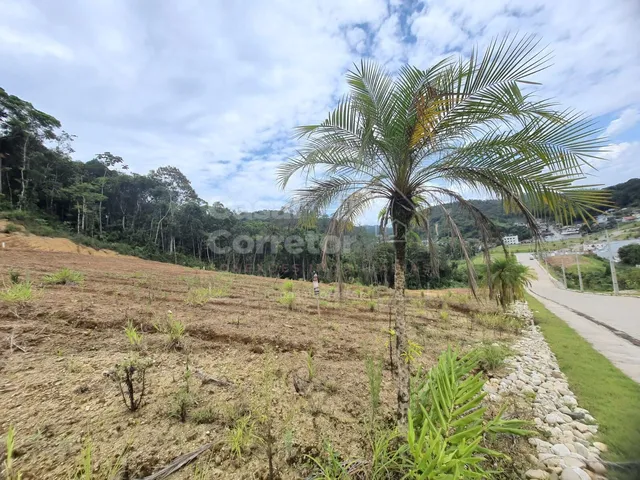 Imagem 5: Terreno Plano e Amplo de 853,60M²