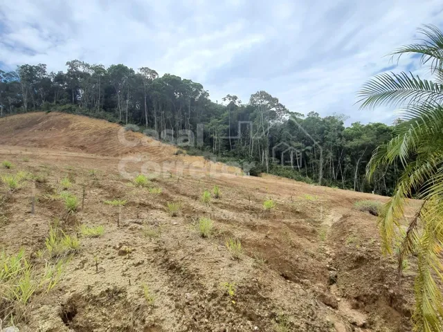 Imagem 14: Terreno Plano e Amplo de 853,60M²
