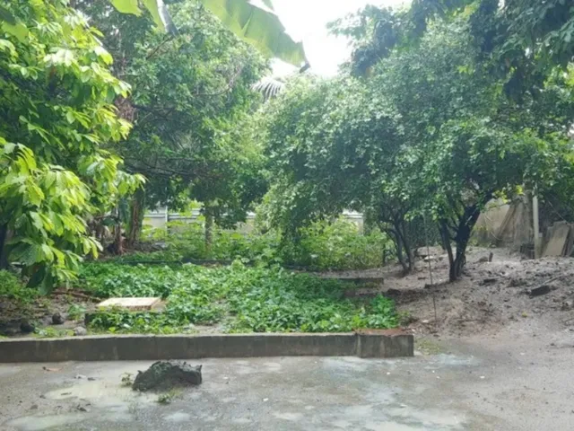 Imagem: Terreno Comercial de 445m² à Venda em