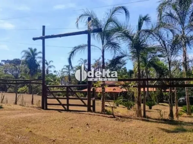 Imagem 13: Chácara Mobiliada Disponível para Locação e Venda no Condomínio Eldorado Em