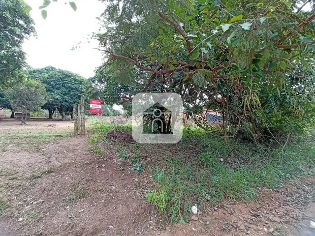 Imagem 2: Terreno para Venda no Bairro Morada Nova