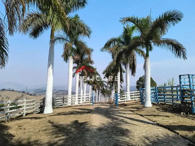 Imagem: Sítio em Espetacular Sitio em Jeceaba