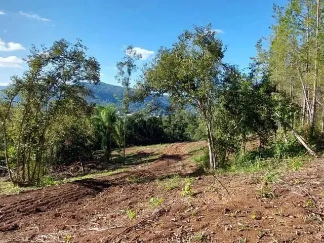Imagem 12: Área de Terra Bairro Joaneta, Picada Café.rs Ref: 434