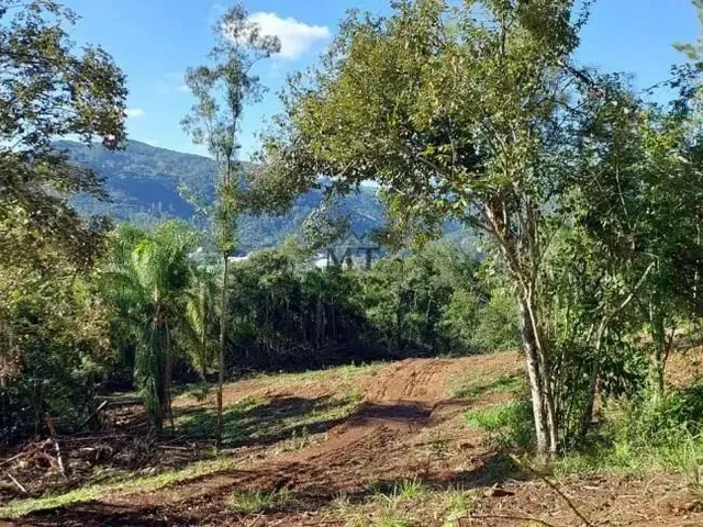 Imagem 13: Área de Terra Bairro Joaneta, Picada Café.rs Ref: 434