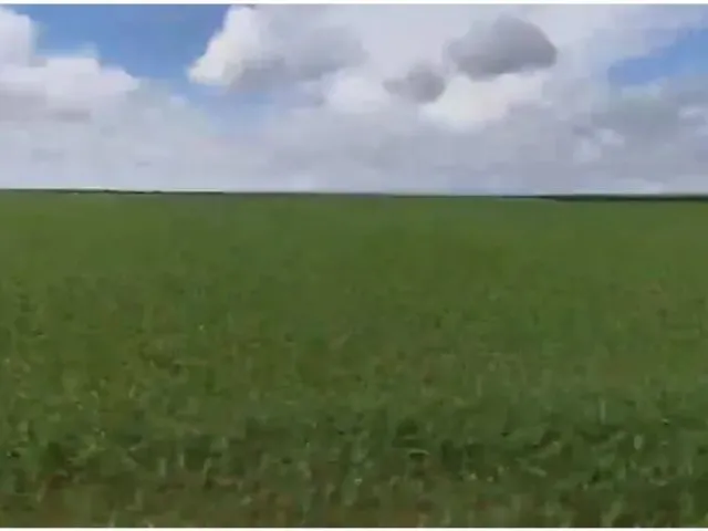 Imagem: Fazenda Lagoa Grande - Mg com 1804 Hactares