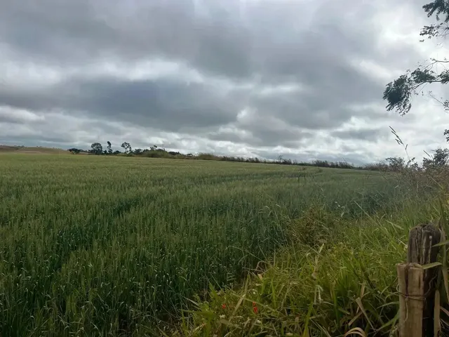 Imagem: Fazenda em Áraxa 130 Hectares 12.000.000.00