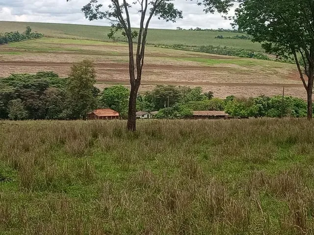 Imagem: Fazenda À Venda de 275 Ha em Campina Verde