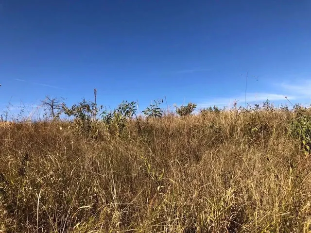 Imagem: Sítio À Venda, 0 M² por R$ 200.000
