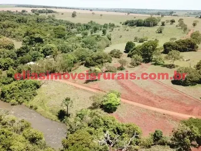 Imagem 8: Sítio 3,8 Alqueires - Margens Rio Piedade - Monte Alegre de Minas