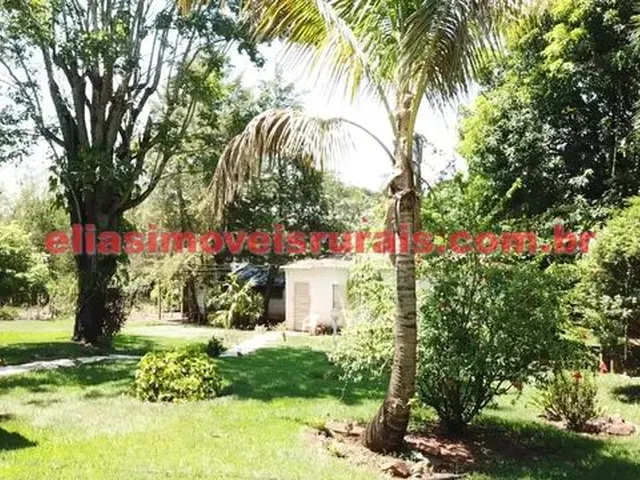 Imagem 10: Sítio 3,8 Alqueires - Margens Rio Piedade - Monte Alegre de Minas