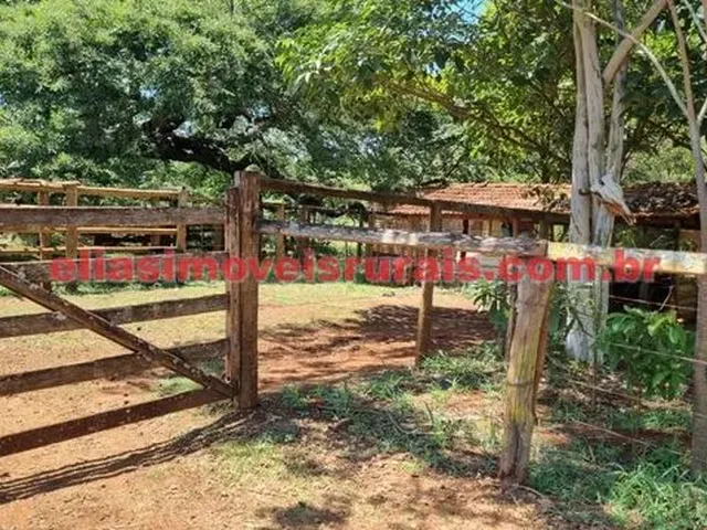 Imagem 11: Sítio 3,8 Alqueires - Margens Rio Piedade - Monte Alegre de Minas