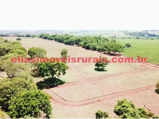 Imagem 12: Sítio 3,8 Alqueires - Margens Rio Piedade - Monte Alegre de Minas