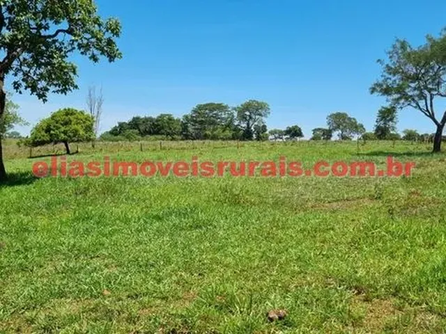 Imagem 13: Sítio 3,8 Alqueires - Margens Rio Piedade - Monte Alegre de Minas
