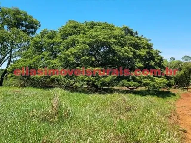 Imagem 14: Sítio 3,8 Alqueires - Margens Rio Piedade - Monte Alegre de Minas