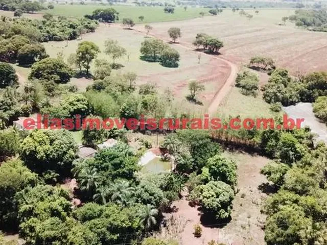 Imagem 2: Sítio 3,8 Alqueires - Margens Rio Piedade - Monte Alegre de Minas