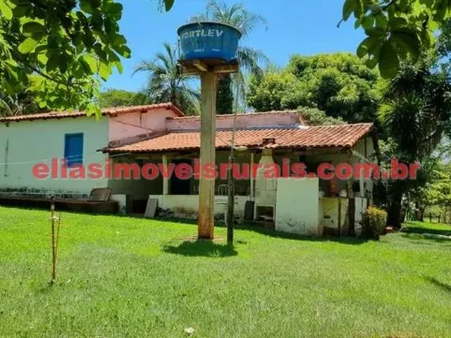 Imagem 4: Sítio 3,8 Alqueires - Margens Rio Piedade - Monte Alegre de Minas