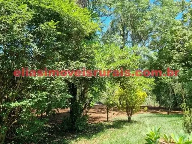 Imagem 5: Sítio 3,8 Alqueires - Margens Rio Piedade - Monte Alegre de Minas