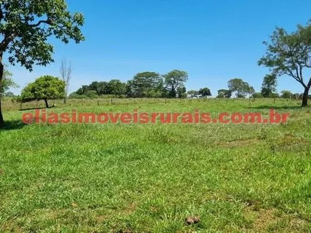 Imagem 6: Sítio 3,8 Alqueires - Margens Rio Piedade - Monte Alegre de Minas