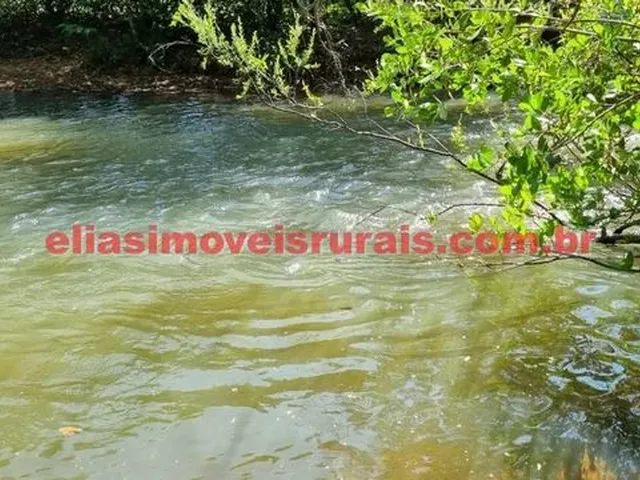 Imagem 7: Sítio 3,8 Alqueires - Margens Rio Piedade - Monte Alegre de Minas