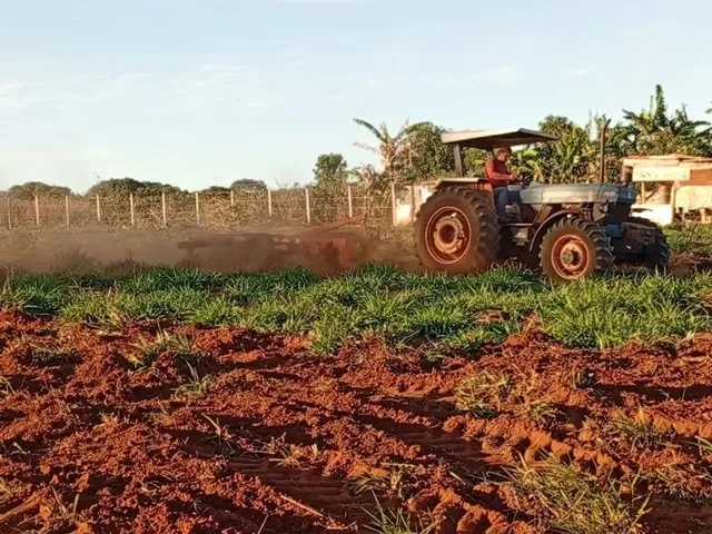 Imagem 3: Chácaras para Quem Quer Sossego ?