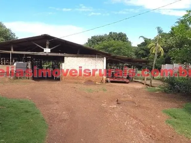 Imagem 6: Fazenda 75,92 Hectares - Monte Alegre de Minas