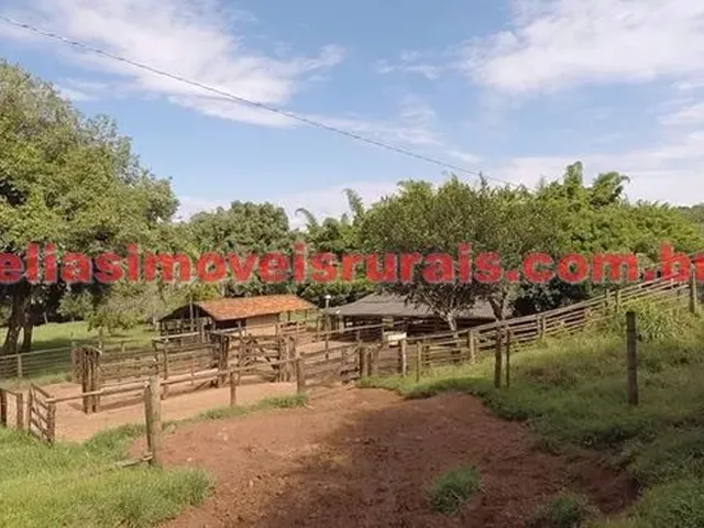 Imagem 7: Fazenda 75,92 Hectares - Monte Alegre de Minas