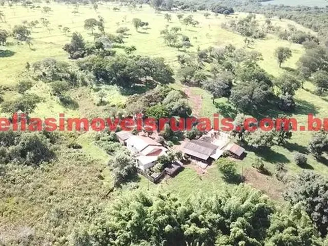 Imagem 2: Fazenda 75,92 Hectares - Monte Alegre de Minas