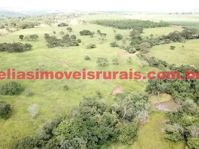 Imagem 3: Fazenda 75,92 Hectares - Monte Alegre de Minas
