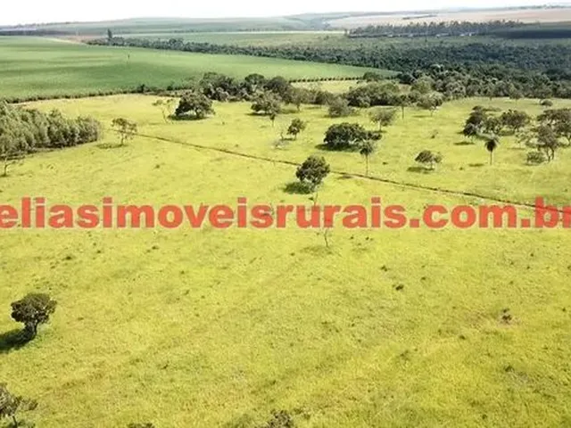 Imagem 5: Fazenda 75,92 Hectares - Monte Alegre de Minas