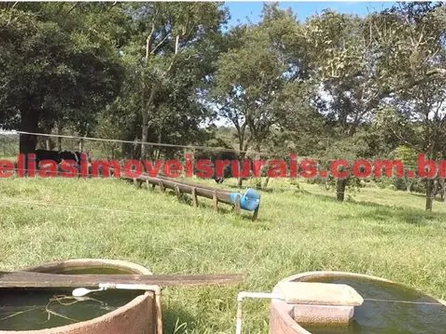 Imagem 8: Fazenda 75,92 Hectares - Monte Alegre de Minas