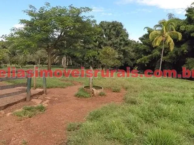 Imagem 10: Fazenda 75,92 Hectares - Monte Alegre de Minas