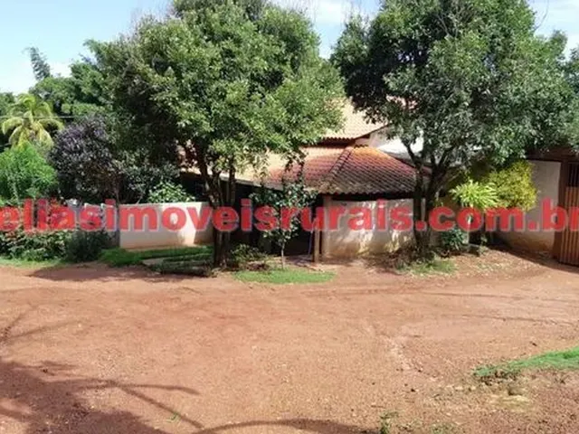 Imagem 13: Fazenda 75,92 Hectares - Monte Alegre de Minas