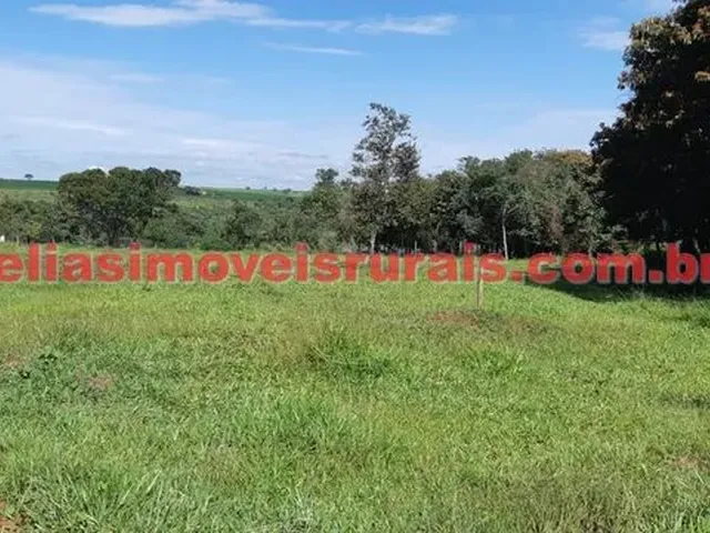 Imagem 12: Fazenda 75,92 Hectares - Monte Alegre de Minas