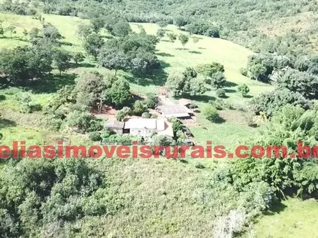 Imagem 16: Fazenda 75,92 Hectares - Monte Alegre de Minas