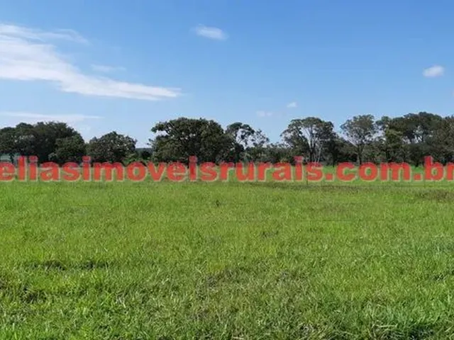 Imagem 11: Fazenda 75,92 Hectares - Monte Alegre de Minas
