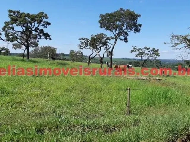 Imagem 14: Fazenda 75,92 Hectares - Monte Alegre de Minas