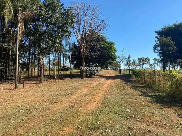 Imagem 11: Chacara À Venda, 2 Quartos, Chacaras Eldorado - Uberlândia/Mg - Rotina Imobiliária