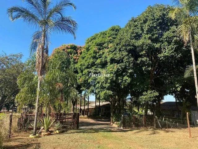 Imagem 6: Chacara À Venda, 2 Quartos, Chacaras Eldorado - Uberlândia/Mg - Rotina Imobiliária